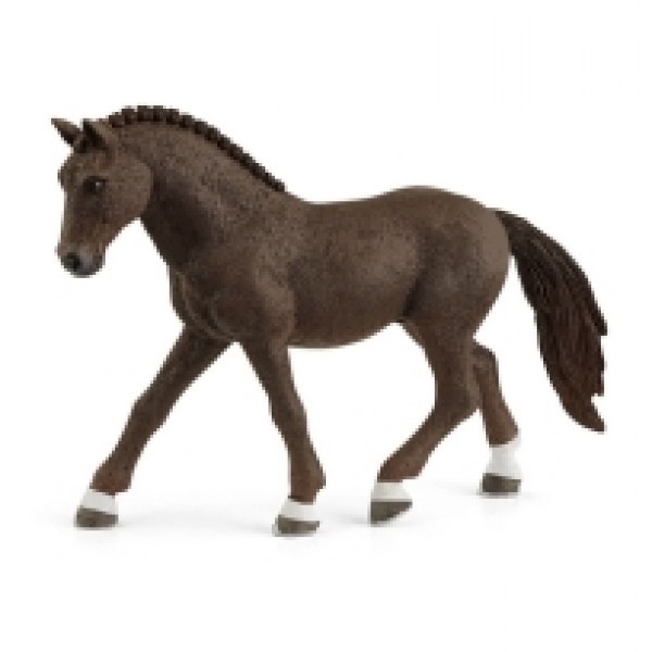 Nemacki pony pastuv 13926