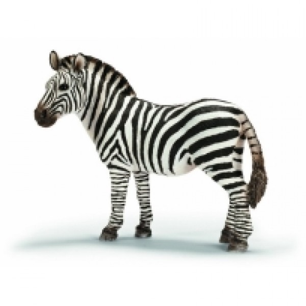 Zebra, ženka 14392