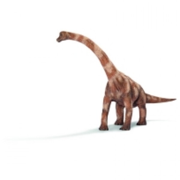 Praistorijska zivotinja - Brachiosaurus 14515