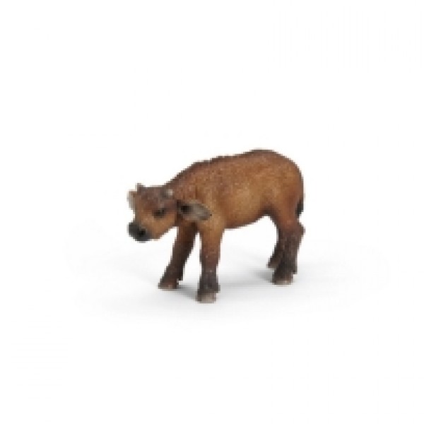 Tele africkog bizona 14641
