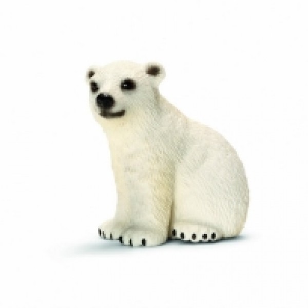 Polarni medved, mladunce  14660