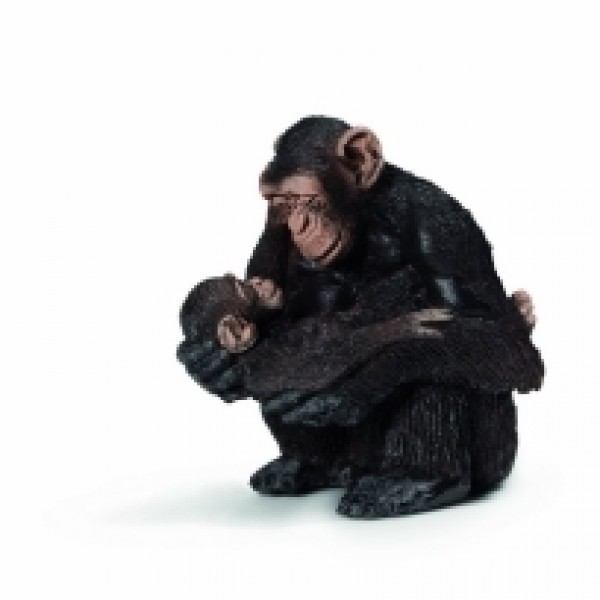 Šimpanza ženka sa mladunčetom  14679