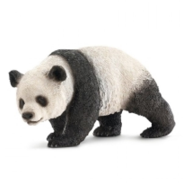 Velika panda ženka