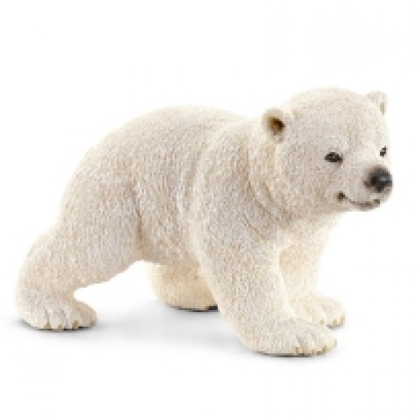 Polarni medved mladunče,šeta 14708