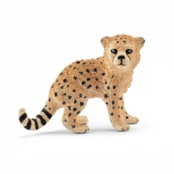 Gepard mladunce 14747