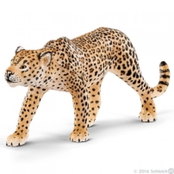 Leopard 14748