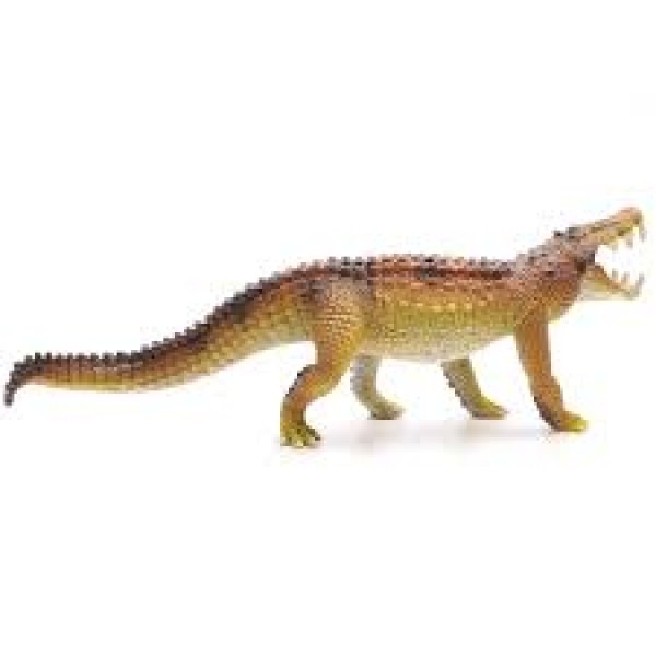 Kaprosauchus 15025