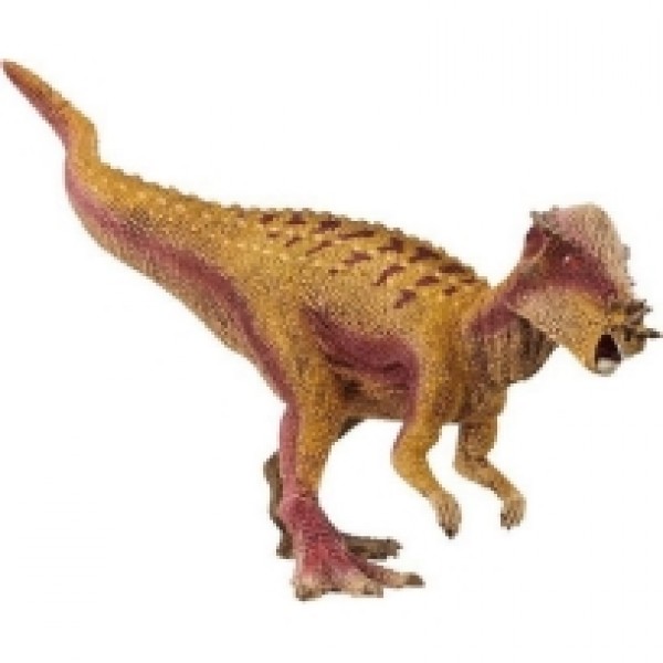 Pachycephalosaurus 15024