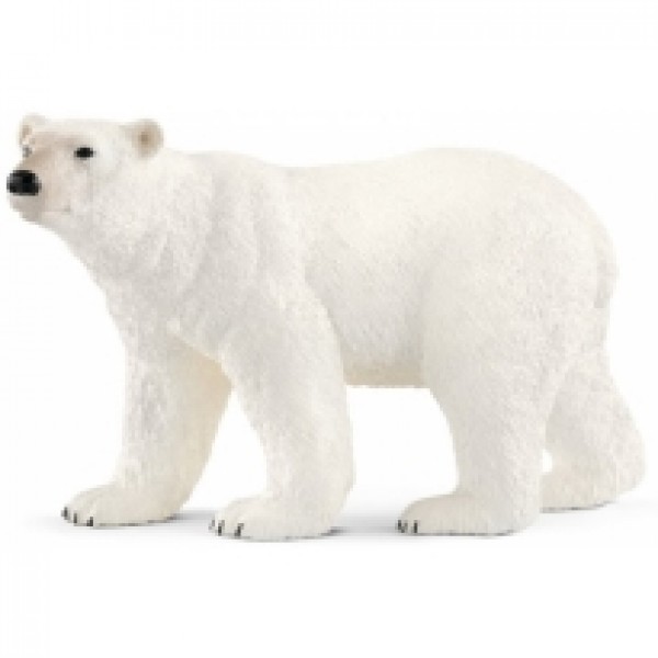 Polarni medved 14800