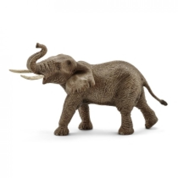 Africki slon , Muzijak 14762