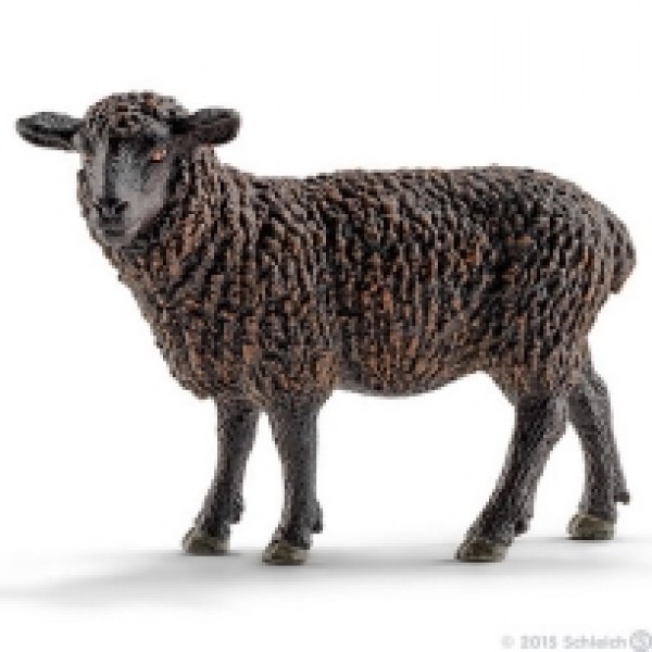 Crna ovca 13785
