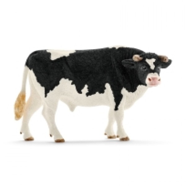Holstein Bik 13796