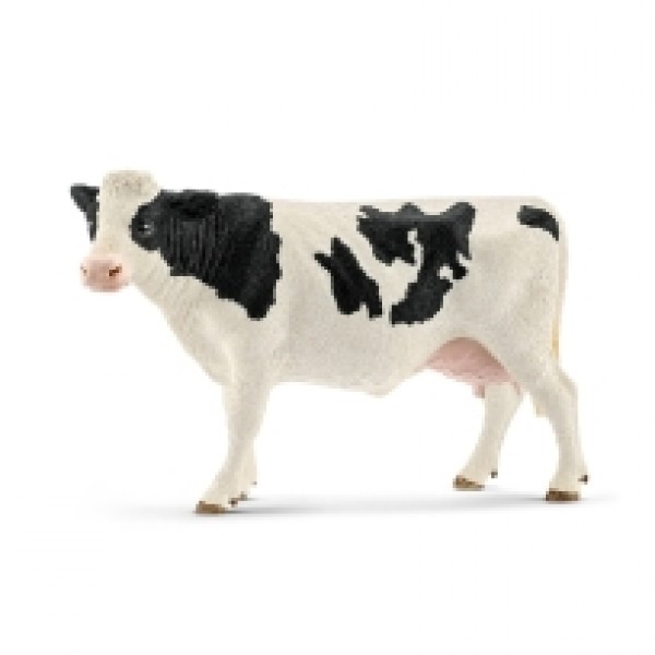 Holstein Krava