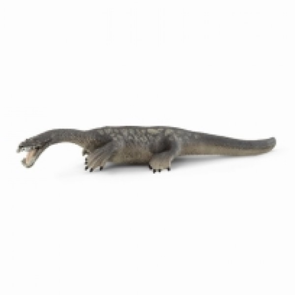 Nothosaurus  15031