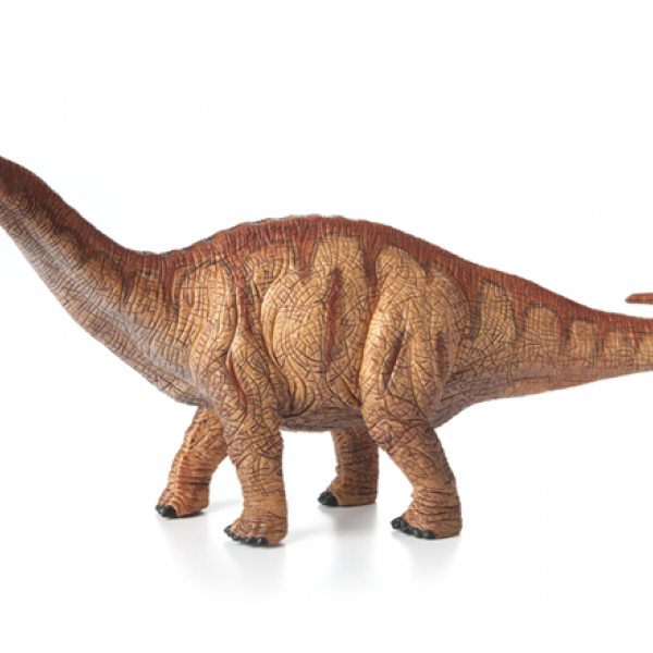 Dinosaurus Apatosaurus 14514